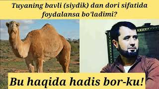 Tuyaning bavli (siydik) halolmi? | Abror Muxtor Ali