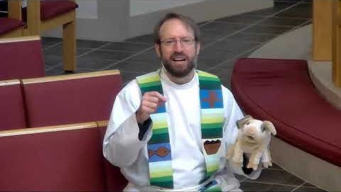 Plotinus (Tiny) the Pig - The Eighteenth Sunday of Pentecost 2020