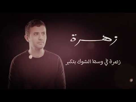 اغنيه زهرة حمزه نمرة