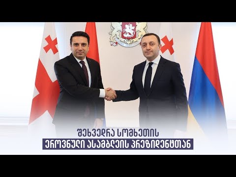 შეხვედრა სომხეთის ეროვნული ასამბლეის პრეზიდენტთან