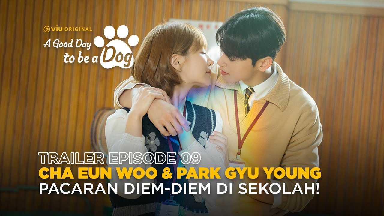 A Good Day to Be a Dog Episode 8 Trailer: A Trap Awaits for Cha Eun-Woo,  Park Gyu-Young