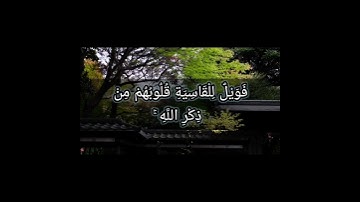قرآن الكريم سورة الزمر الآية 22