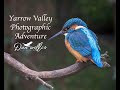 Yarrow Valley Photography Adventure
