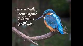 Yarrow Valley Photography Adventure