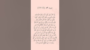 سوره محمد ||(12-15) ||إسلام صبحي ||