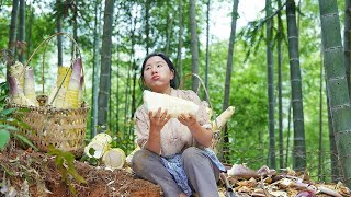 （Spring bamboo shoot feast）春筍聞春雷而動，濯春雨而發，清香鮮美，是大自然送給春天的禮物【乡愁沈丹 Shen Dan】