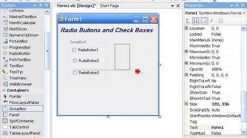 VB ( Visual Basic ) 2008 : Control & Properties - Radio Buttons vs   Check Boxes