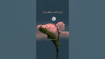 فقلت استغفروا ربكم إنه كان غفارا"#حالات واتس #اجمل مقاطع قصيرة#تلاوات#Quran 🌿💜