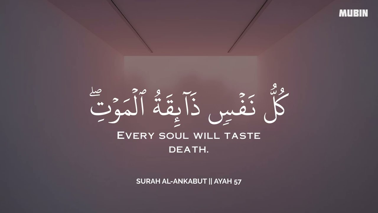 ساعة كاملة🕛🎧 | تلاوة القران بصوت محمد هشام للدراسة والتركيز 📚 | راحة نفسية😌 | Mohamed Hesham