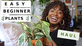 Houseplants That Even YOU Can't Kill | Easy Houseplants for Beginners