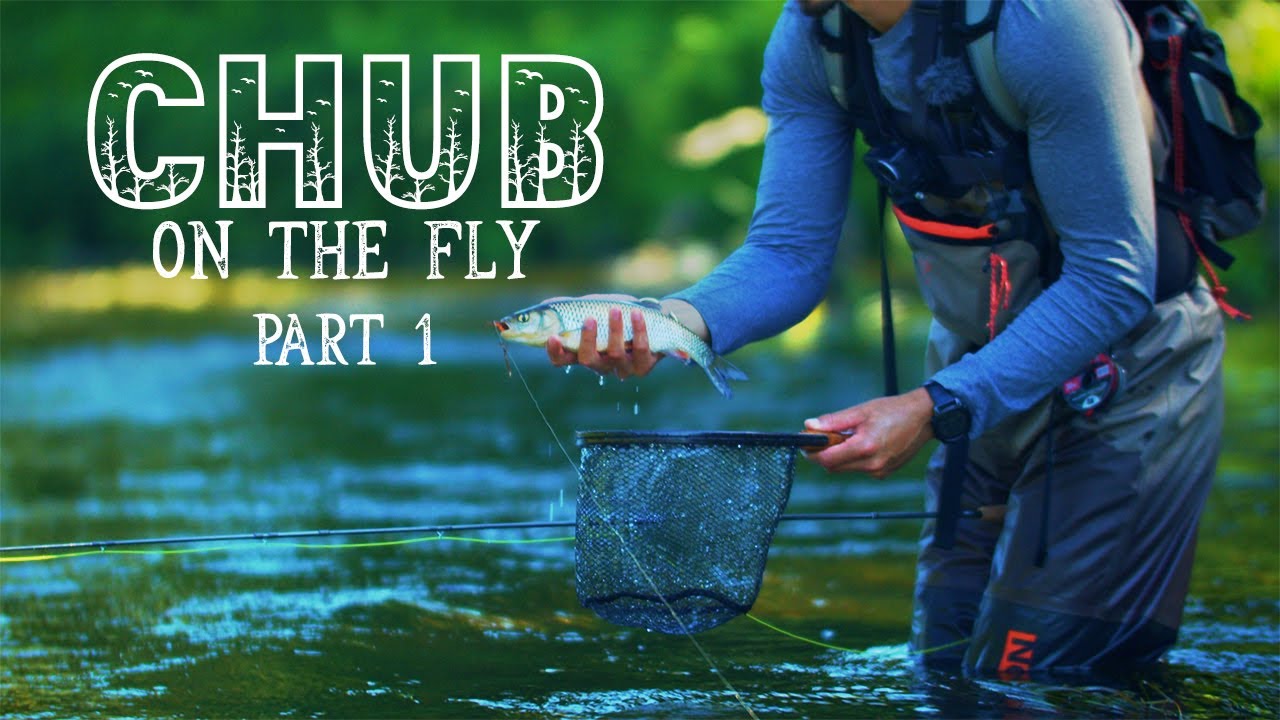 Conquering the Big River: Chub Fly Fishing Success | Epic Journey Part 1, Dry Hopper Dropper Flies