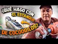 Bañando Cocodrilos Y Arreglando Estanque!!!