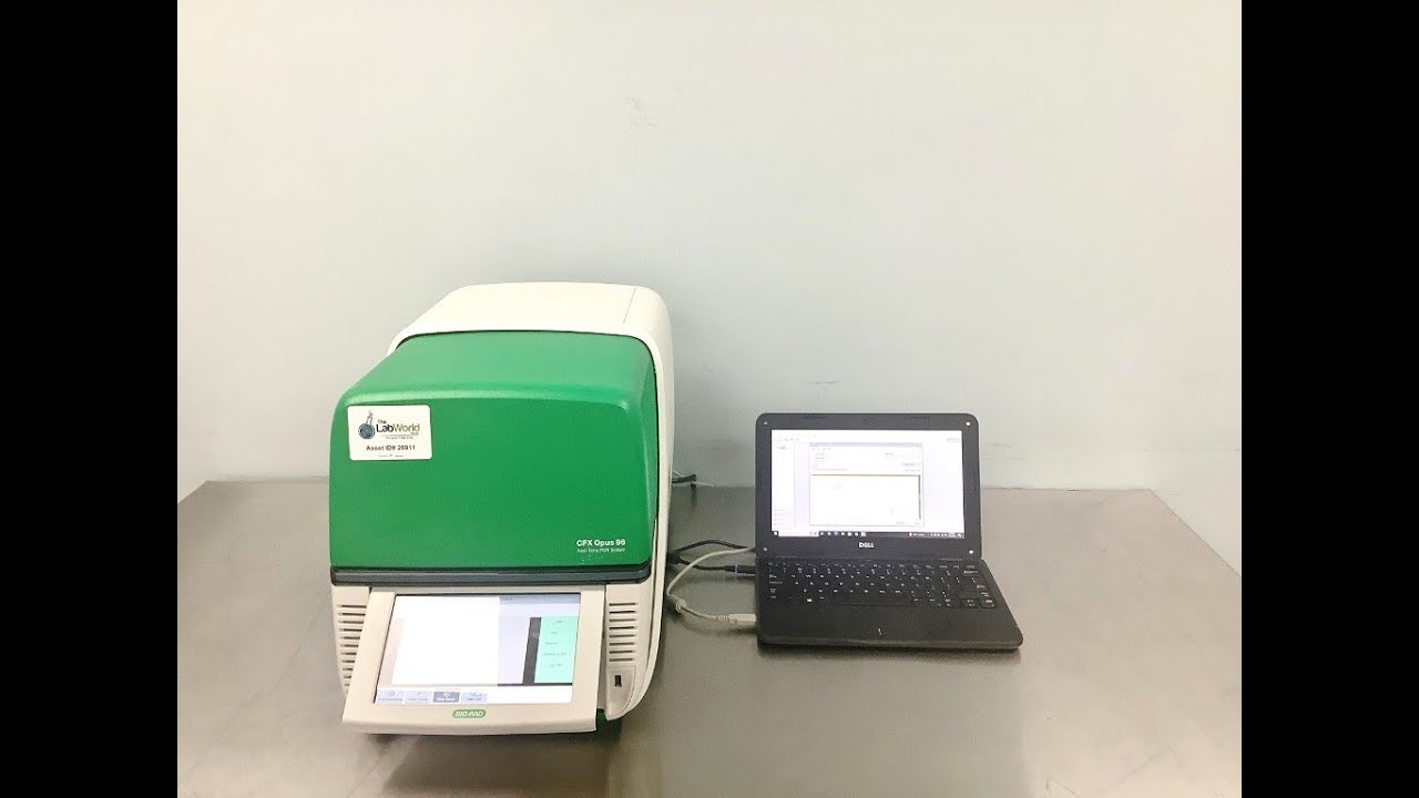 BioRad CFX Opus 96 Real Time PCR - The Lab World Group