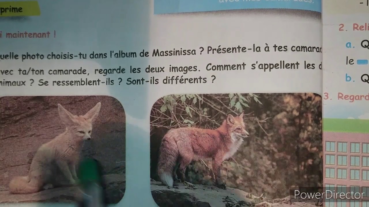 projet 1 séquence 2 (5 Ap) oral production c'est important ♥