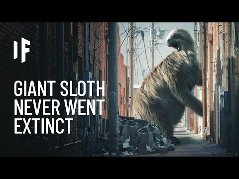 This Ancient And Ginormous Sloth Had an Unexpected Supplement in Its Diet