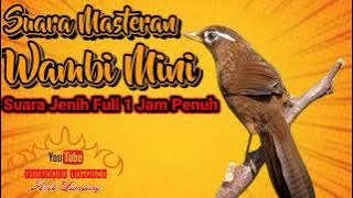 Masteran Tembakan Wambi Mini Jernihll full isian Gacor super merdu durasi 1 jam