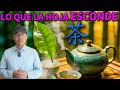 Lo que nadie te dijo sobre el té 🍃