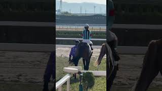Surjapuri song #bhojpuri #song #love &amp;horse racing video
