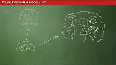 Lecture 1   The Nature of Causal Effects and How to Measure Them