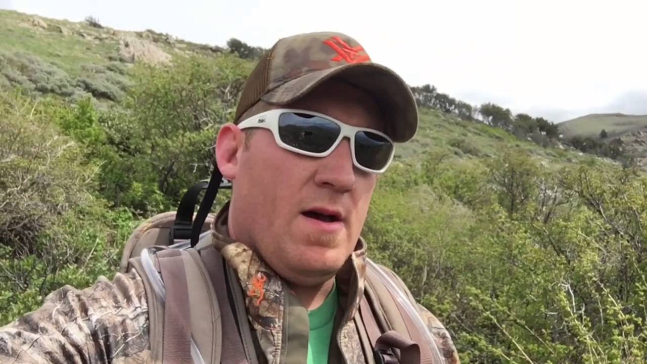 Utah shed hunting 2016 (Northern Utah) 