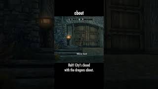 about — The Elder Scrolls V: Skyrim dialogue scene