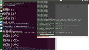 Claymore 12 6 no dev fee  Mining without commission