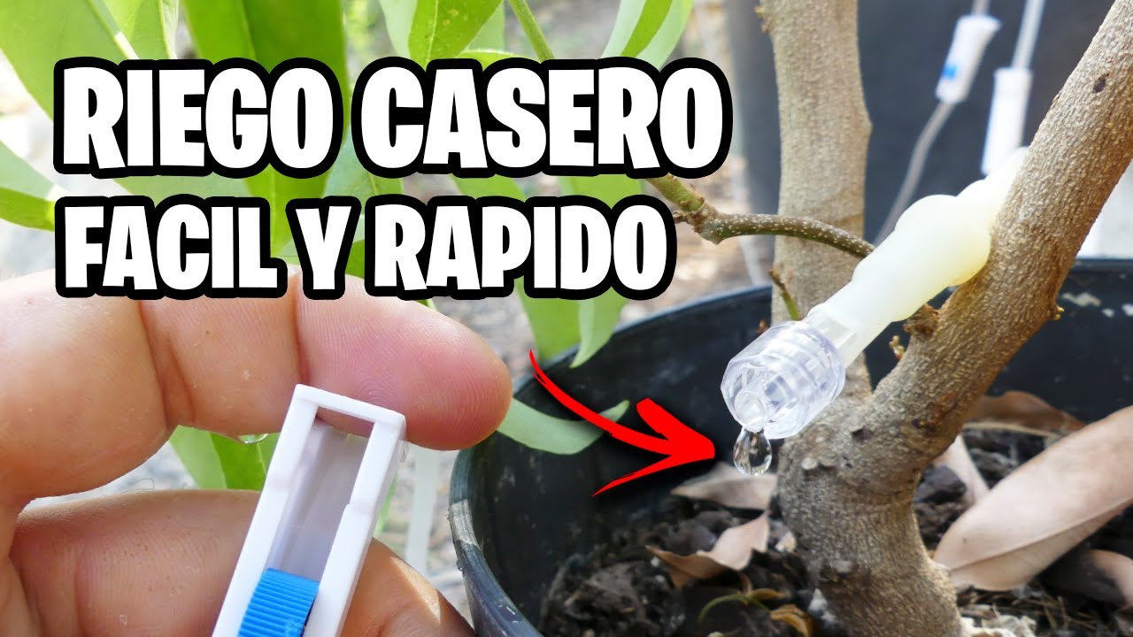 Increíble RIEGO por GOTEO CASERO!! 💦 Barato y Fácil
