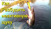 Евгений Перевозчик 163
