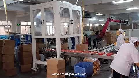 Automatic food bag tissue bag robot hands inserting carton palletizing machine cartoning palletizer