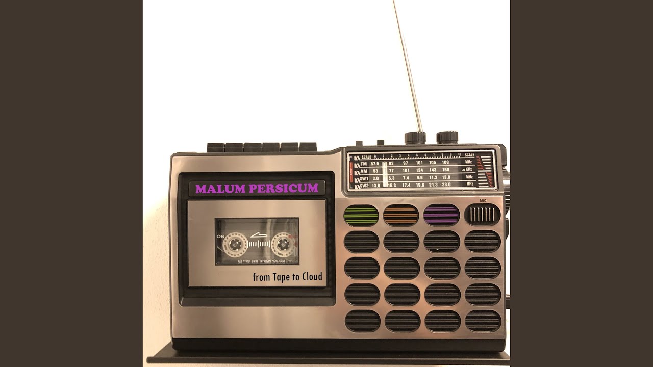 Ignaw (live at M 2005)