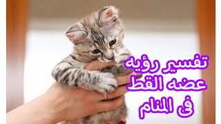 تفسير رؤيه عضه القط فى المنام |ماذا يجب فعله بعد هذه الرؤية