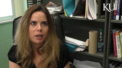 Border fences reduce risk of transnational terrorist attacks, other effects unclear