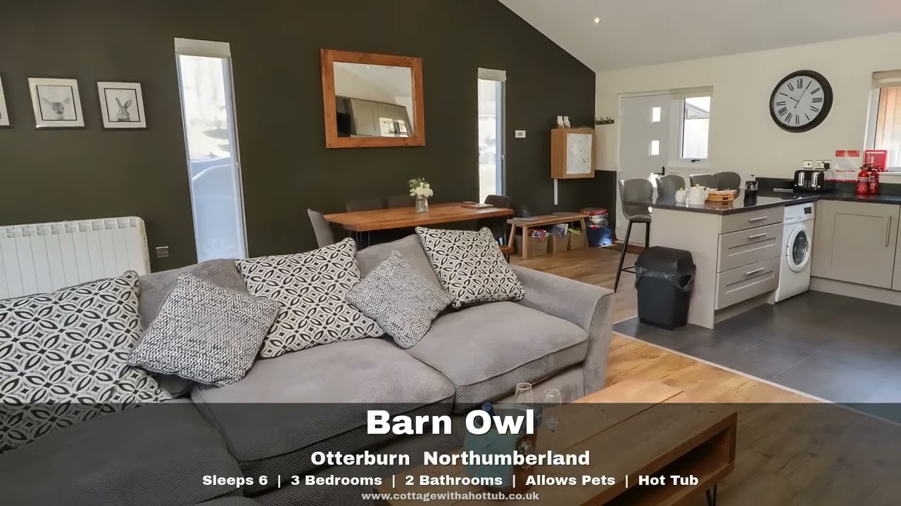 Barn Owl video tour