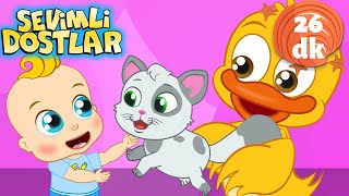 🐱🐾 Kedi Miyav Dedi 🌈 | Sevimli Dostlar Bebek ve Çocuk Şarkıları | Adisebaba TV | Nursery Rhymes