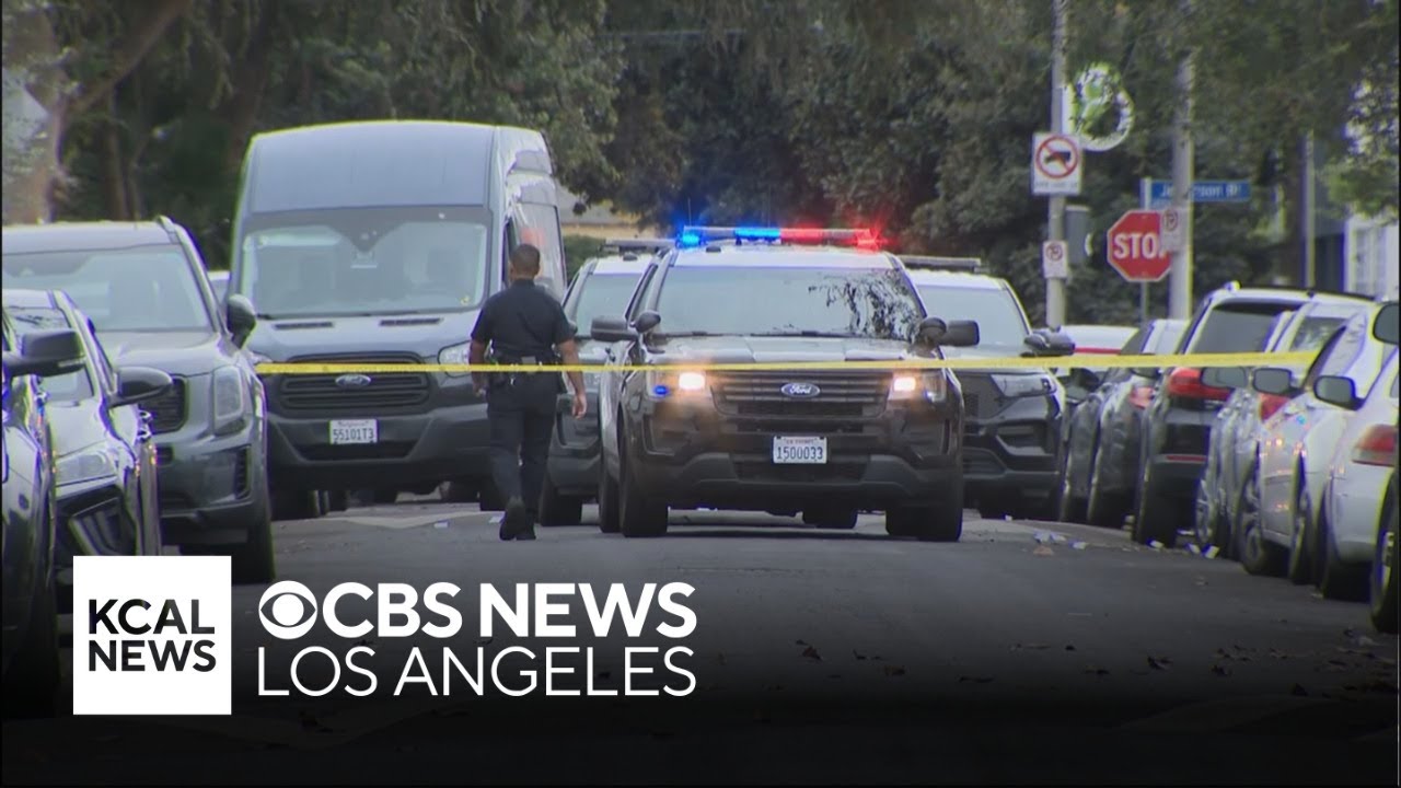 LAPD shoots domestic violence suspect after pursuit ends in West Adams ...