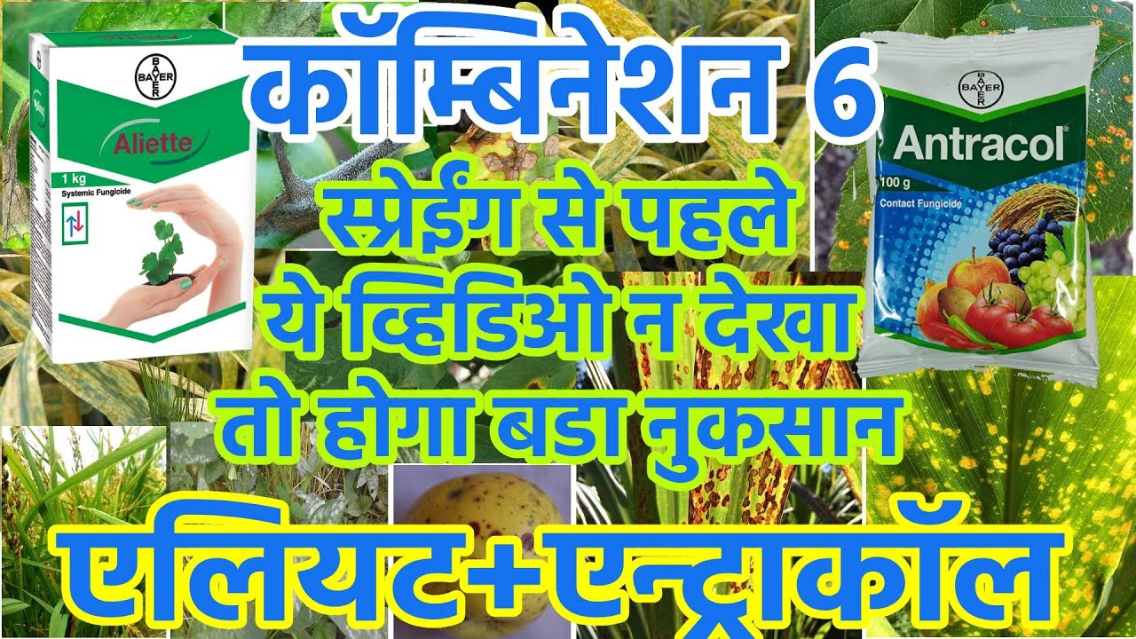 एलियट +एन्ट्राकाॅल |Aliette+Antracol/aliette/antracol