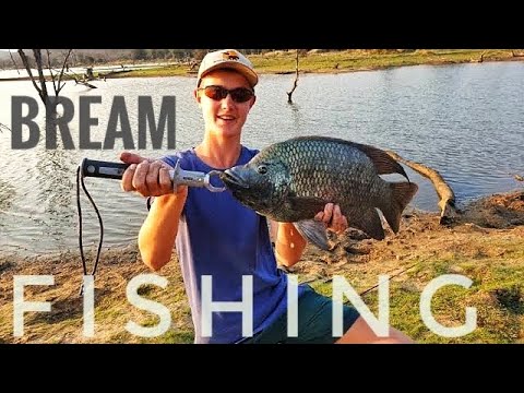Video: Winter Bream Fishing: Know And Be Able! Part 2
