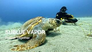Deeper Together | SUBLUE Vapor & a Sea Turtle [Part 2]