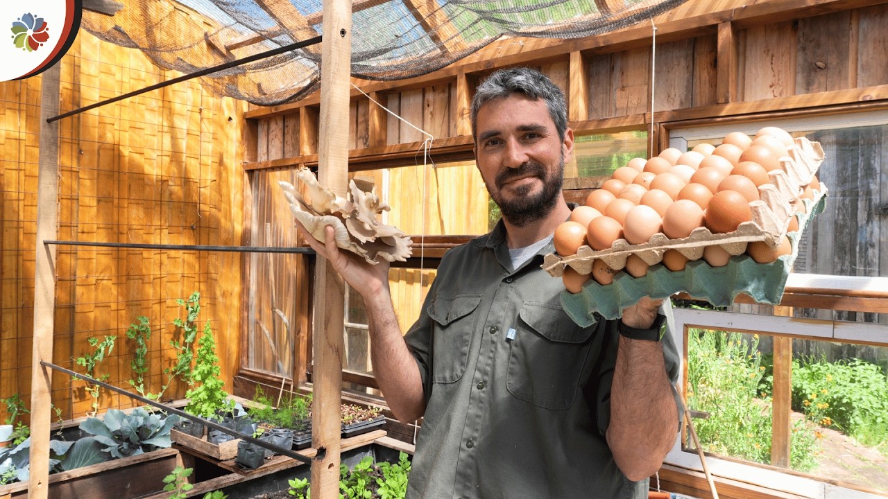 TRANSFORMÉ mi PATIO en una MINI GRANJA 👨‍🌾