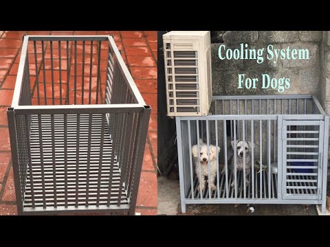 Cách Thợ Vườn Làm Chuồng Chó Đúng Tiêu Chuẩn || Make A Dog Pen With A Cooling System