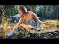 Escape to the wilderness  yurt tour  2 years in a yurt  wasabi  strawberry garden  ep 130