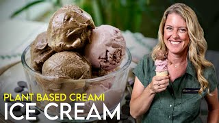 Two Healthy PlantBased HäagenDazs Style Ice Creams  How can it be?