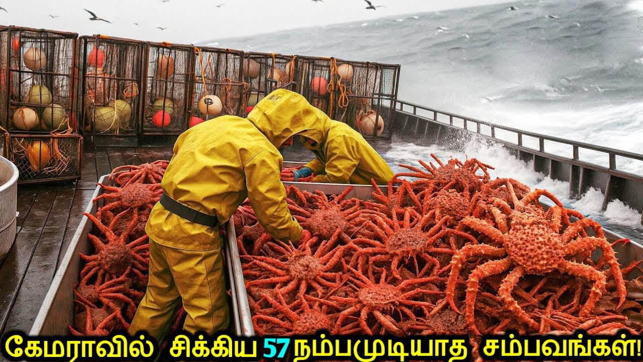 🎥கேமராவில் பதிவான 57 நம்பமுடியாத தருணங்கள்! | Incredible Moments Caught On Camera | Tamil Ultimate