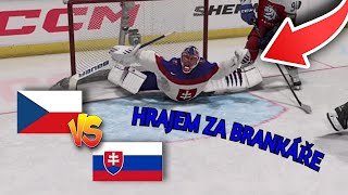 ČESKO VS SLOVENSKO ALE HRAJEME ZA BRANKÁŘE