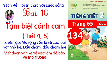 Tiếng Việt lớp 2 Kết nối| Bài 6 Tạm biệt cánh cam Tiết 4, 5 Luyện tập |Cô Thu|#134