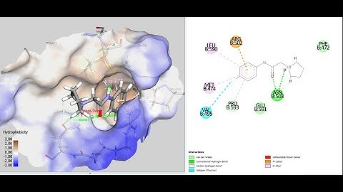 Video 2: Docking fragments with AutoDock Vina and comparing binding modes to crystal structures.