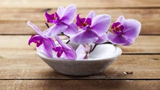 PEARWAA Thai Spa & Massage {Pear Waa}