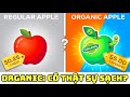 Thực Phẩm Organic Có Thật Sự Tốt Hơn?