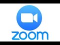 Как использовать Zoom - сервис для проведения конференций и обучения
