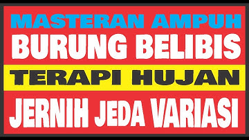 SUARA BURUNG BELIBIS PIKAT MP3 MASTERAN JERNIH JEDA TERAPI HUJAN 1 JAM mp3